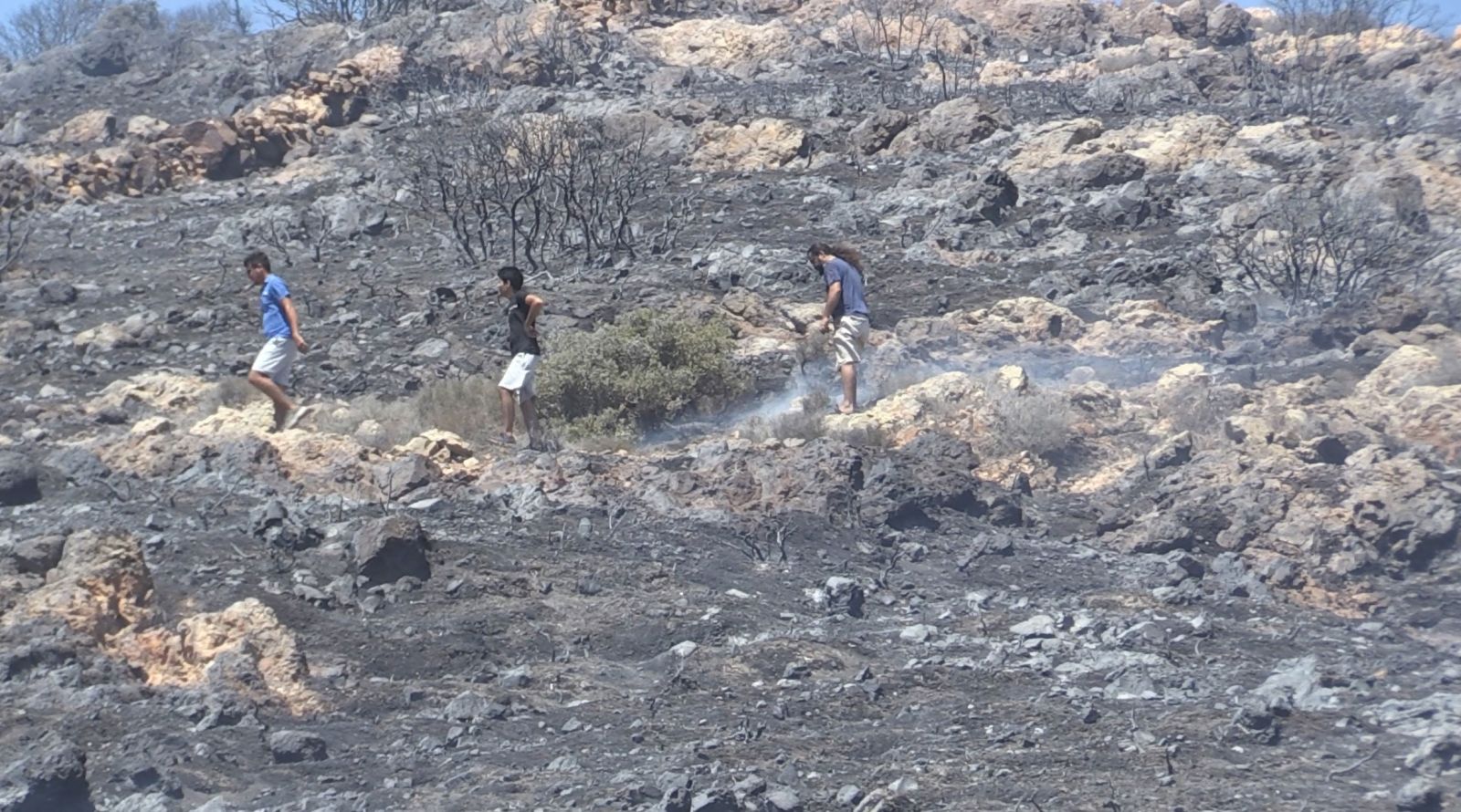 Muğla'da yangın! 7 hava ve kara aracı ile müdahale edildi