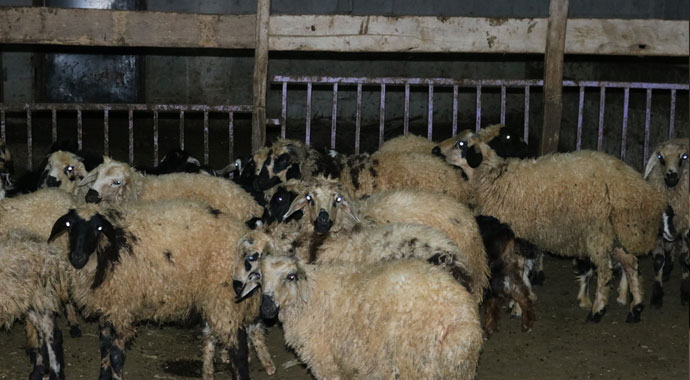 Diyarbakır’da insanlık ölmemiş dedirten davranış