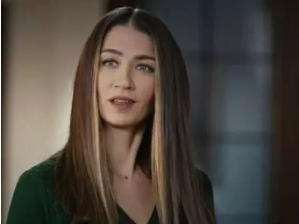 İçimizdeki Ateş dizisine Kurtlar Vadisi ve EDHO'dan transferler