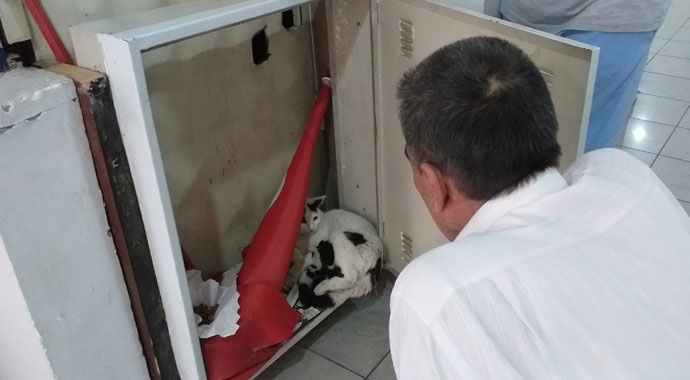 Yangın dolabında güzel sürpriz