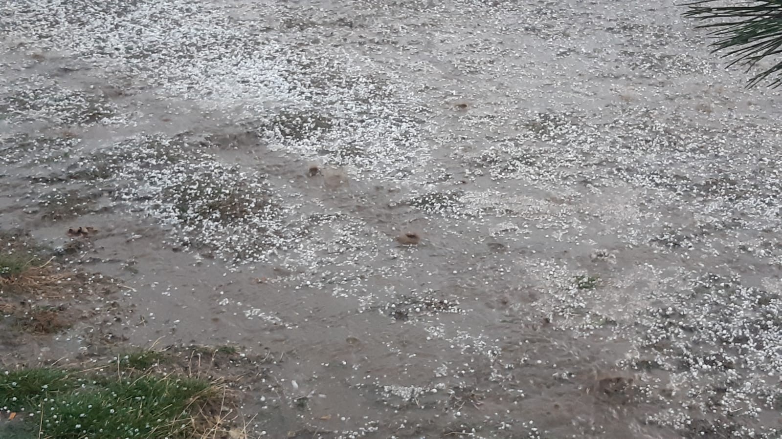 Bir andan yağan dolu her yeri beyaza bürüdü, vatandaş neye uğradığını şaşırdı...