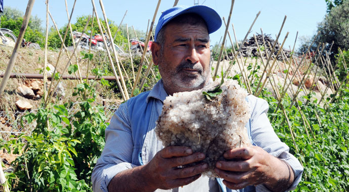 Dolu, turfanda ürünleri vurdu