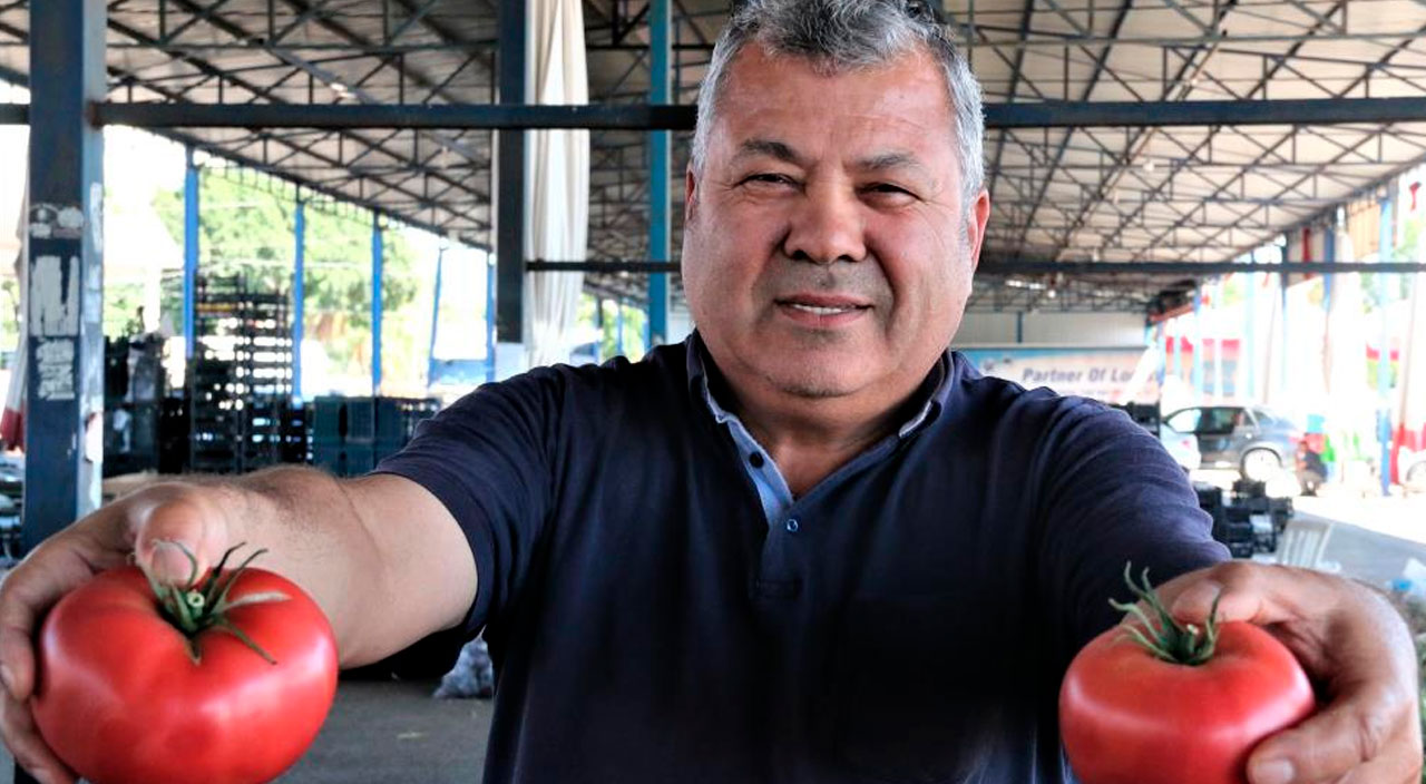 Üreticilerden "Domates kışın 50 TL olacak" sözlerine tepki! “Hem içeriye hem dışarıya yetecek ürünümüz var”