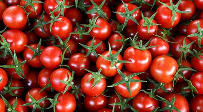 Domates fiyatları uzun aradan sonra üreticisini güldürdü