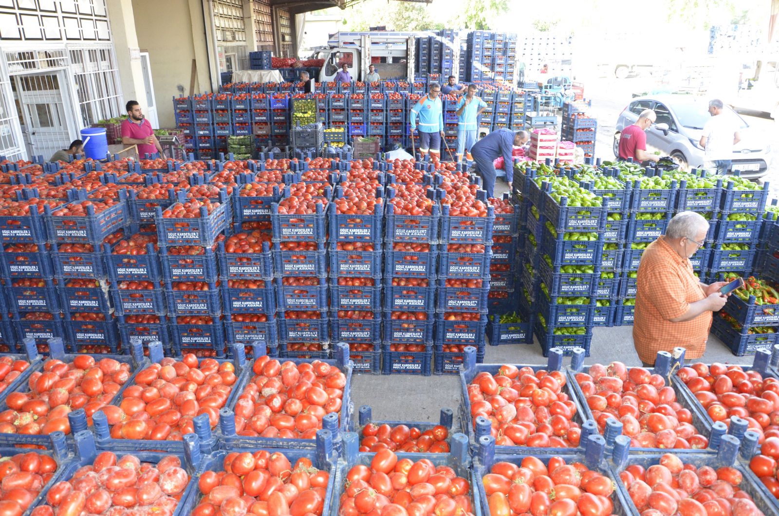 Tonlarca domates kabzımalların elinde kaldı