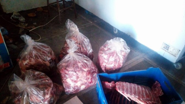 Aydın'da 450 kilo kaçak domuz eti yakalandı