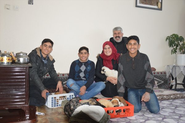 Donmak üzere olan 25 köpeğe evlerini açan aile