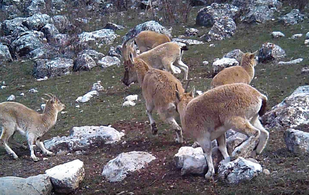 Korona'dan uzak doğa ile iç içe