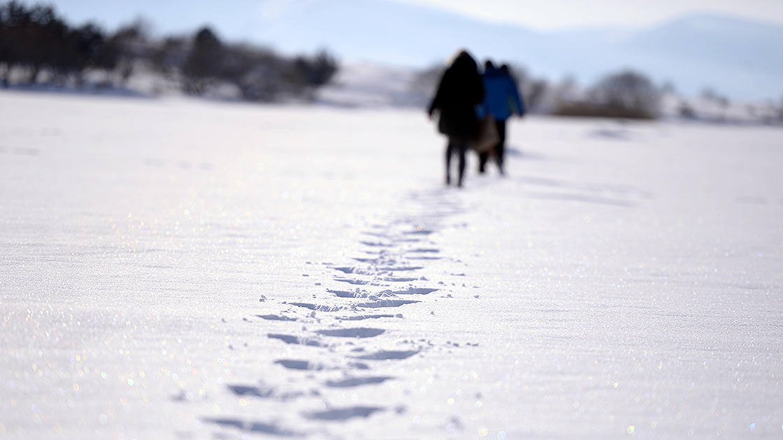 Doğu Anadolu yeniden beyaza büründü