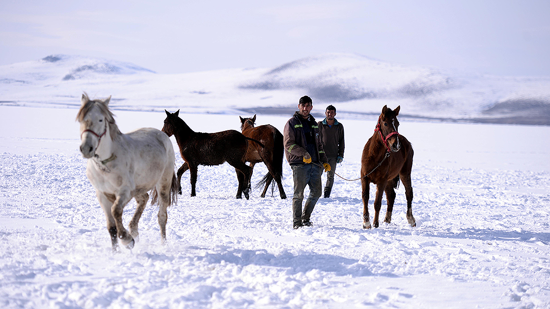 Doğu Anadolu yeniden beyaza büründü