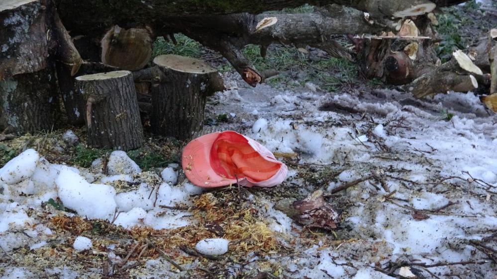 Kestiği ağacın altında kalarak hayatını kaybetti