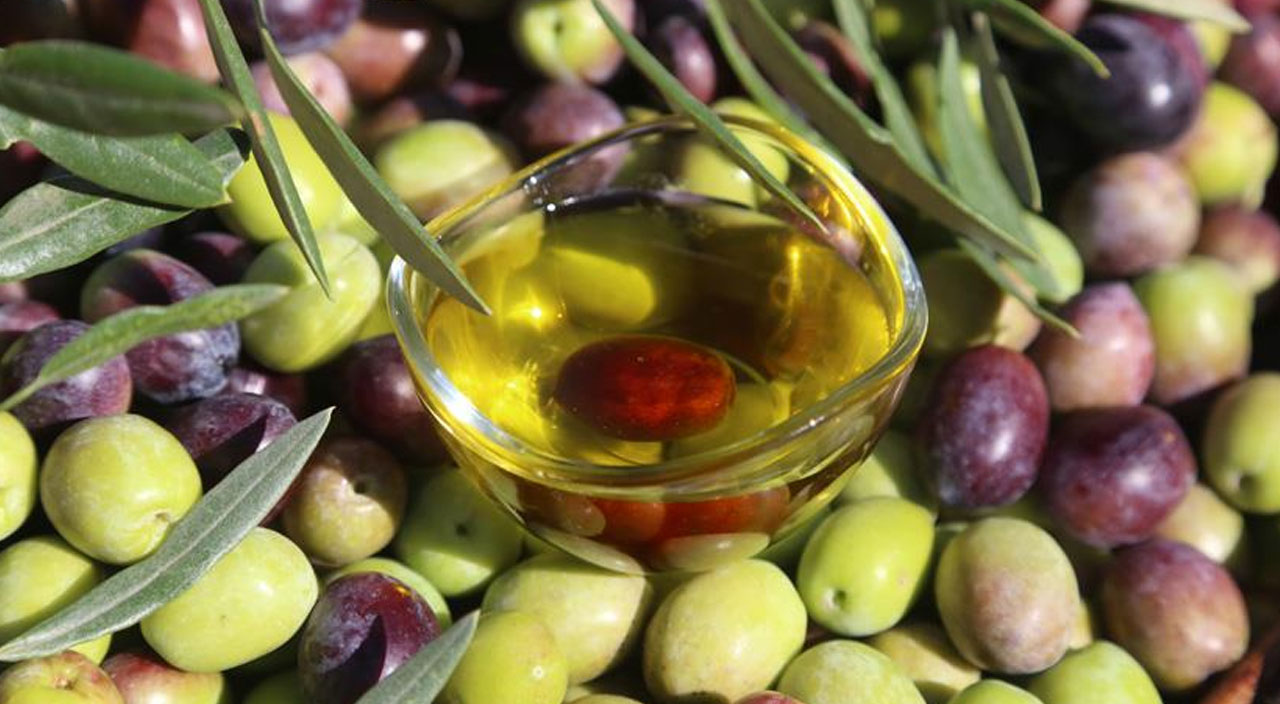 Zeytin çekirdeği yutmak zararlı mı? Zeytin çekirdeği midede erir mi? Canan Karatay açıkladı: Günde 5-6 çekirdek mutlaka yutun