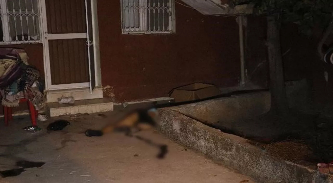 Eski eşinin başına taşla vurarak öldüren cani kocanın ifadesi ortaya çıktı! Öldürme nedeni ise kan dondurdu