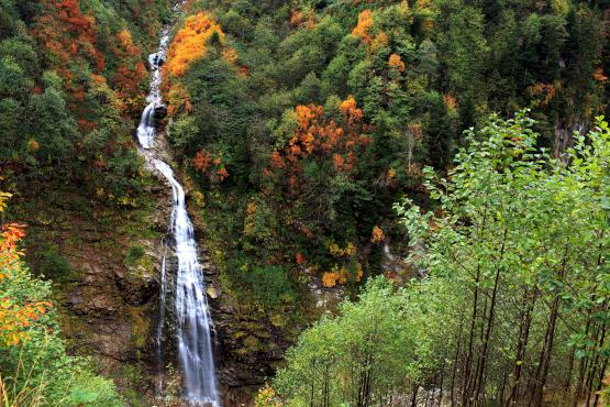 Çölleşmede en risksiz bölge 'Karadeniz'