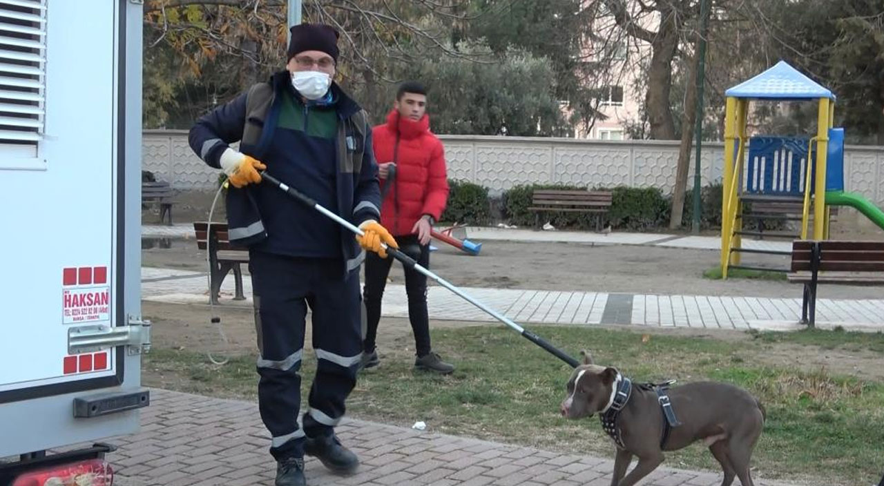 Çocuk parkına bırakılan Pitbulla kemerli müdahale