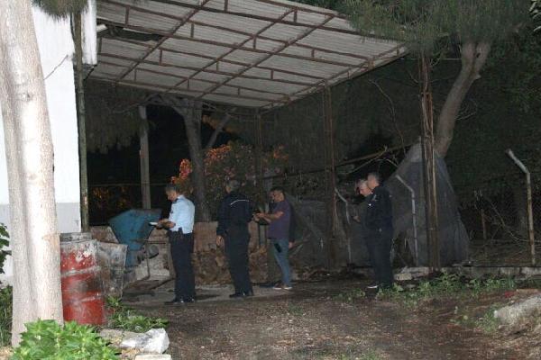 Dut kopartırken düşüp hayatını kaybetti