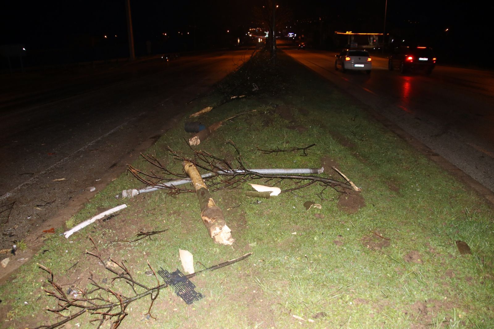 Düzce'de yıldırım düşen ağaç paramparça oldu