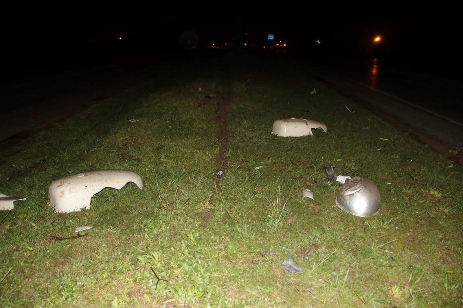 Düzce'de yıldırım düşen ağaç paramparça oldu