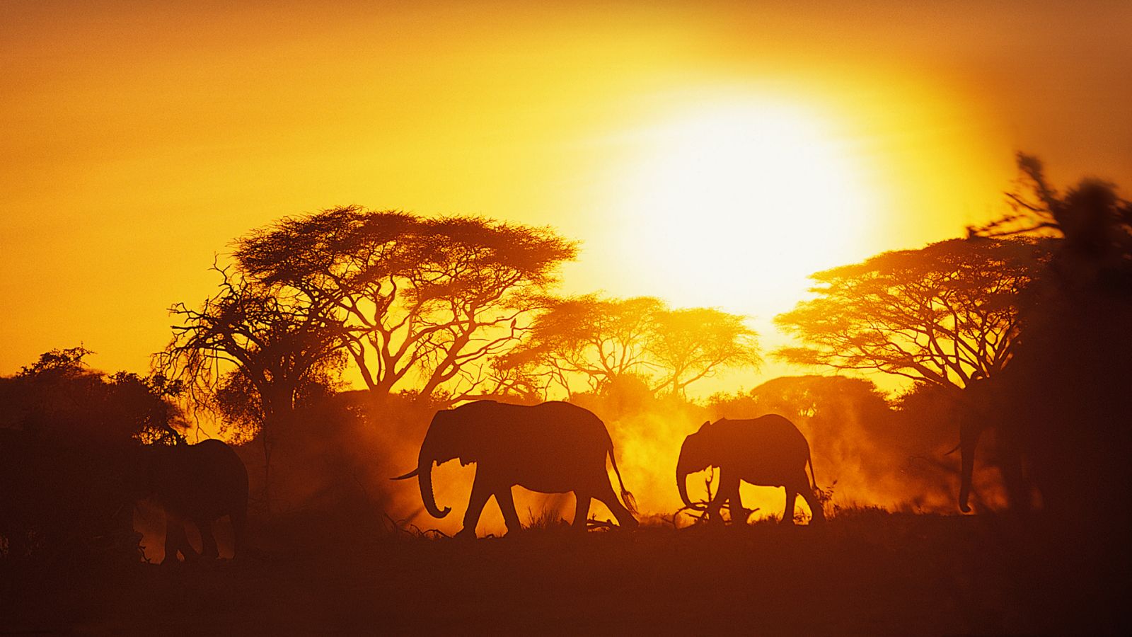 Avrupa'nın kasvetli havasından uzaklaşın - Vizesiz ülkeler