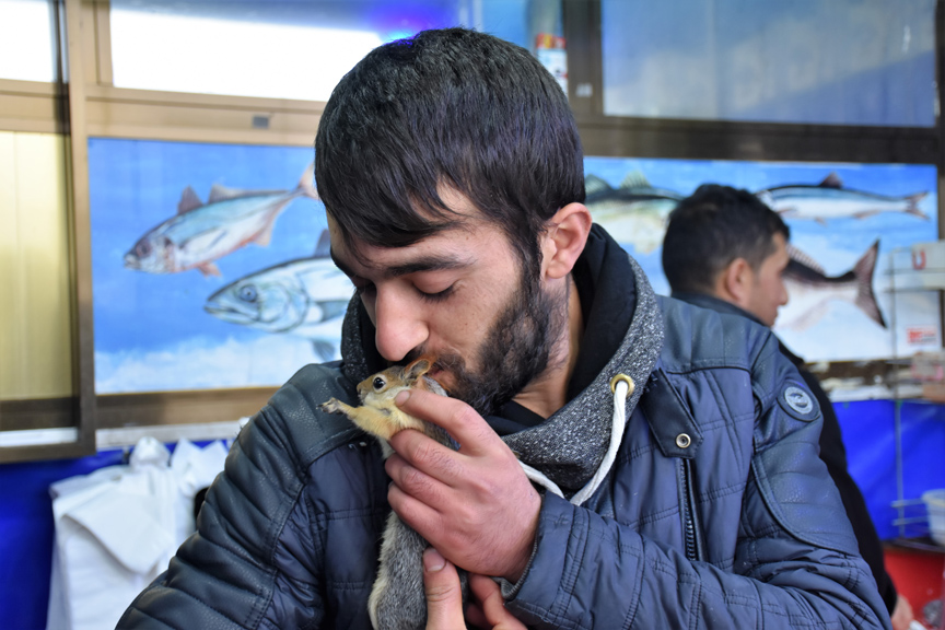 Balıkçı ile sincapların dostluğu