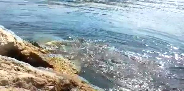 6.2'lik deprem sonrası Karaburun'da kokutan görüntü