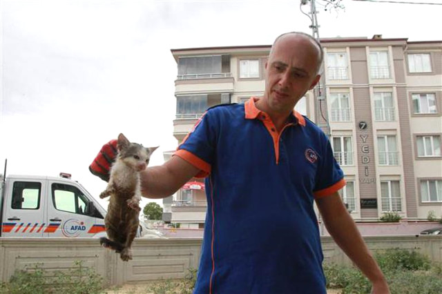 Tuvaletten gelen sese koştu, gördüğü manzara karşısında şoke oldu
