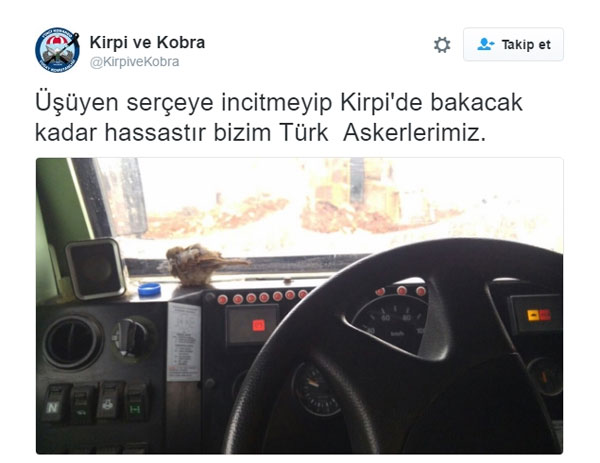 Sosyal medyada dikkat çeken fotoğraflar
