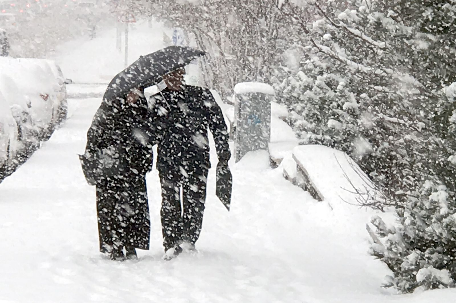 Erzurum'da şehir merkezine mevsimin ilk karı yağdı Erzurum'da şehir merkezine mevsimin ilk karı yağdı
