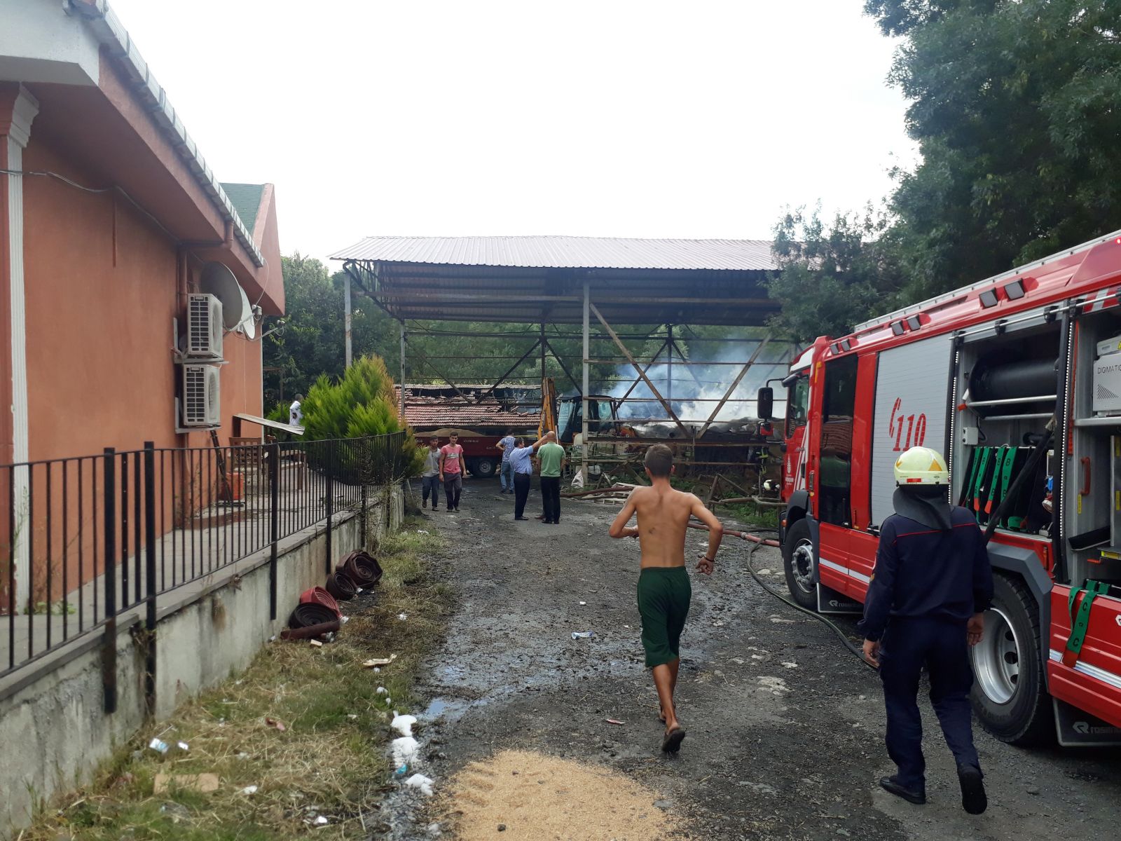 Arnavutköy'de feci olay: 11 büyükbaş hayvan yanarak telef oldu