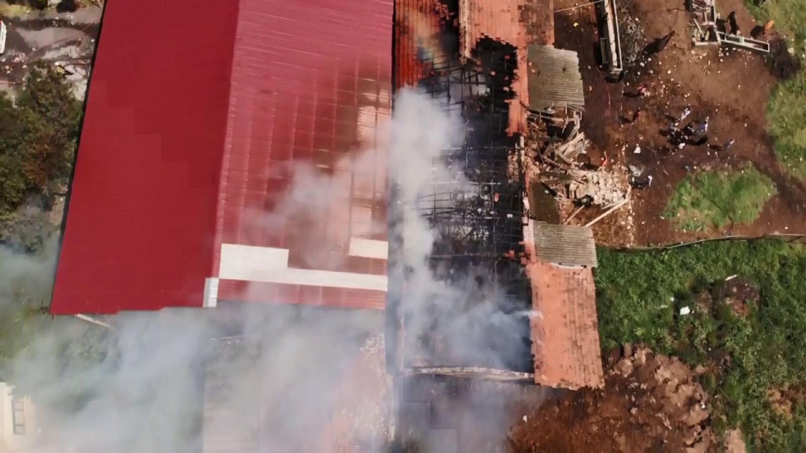 Arnavutköy'de feci olay: 11 büyükbaş hayvan yanarak telef oldu