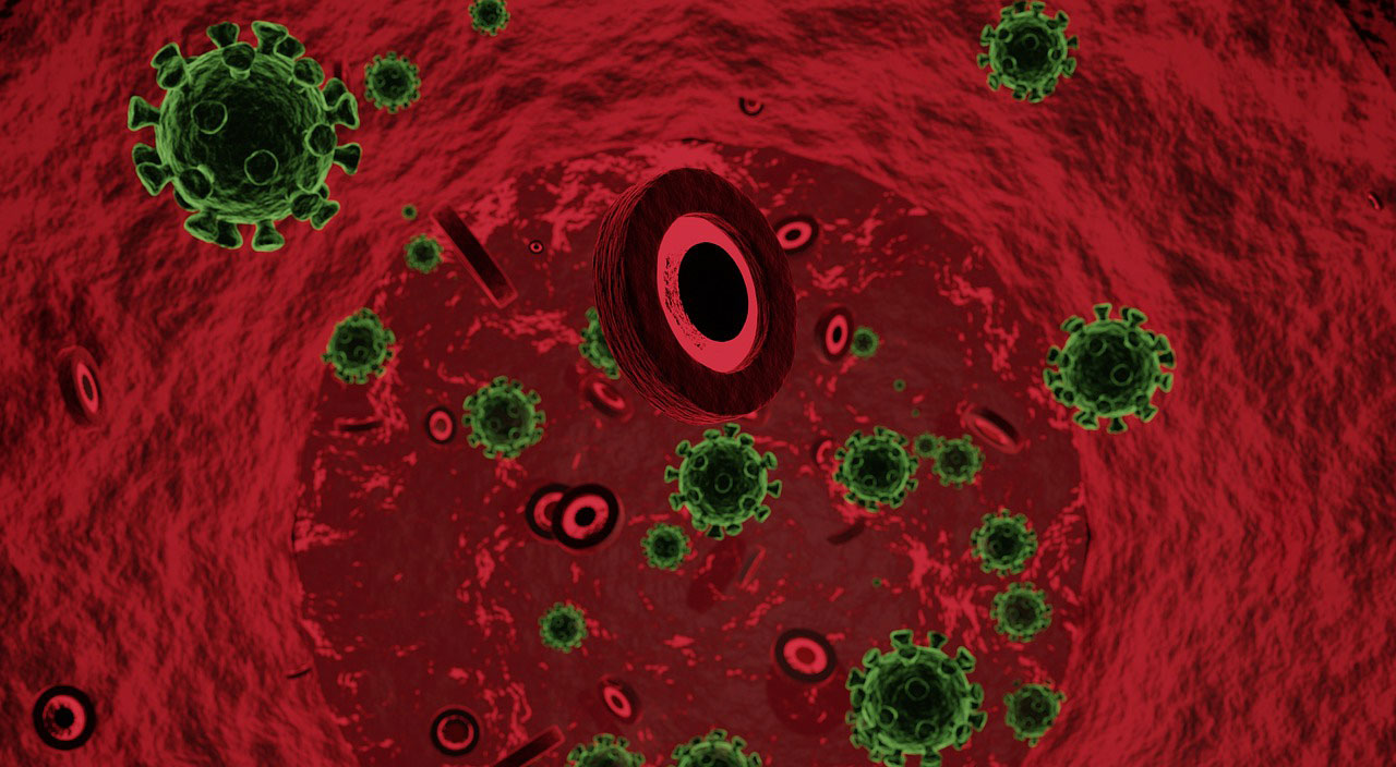 Beyinde gizleniyor: Ebola düşünüldüğünden daha tehlikeli