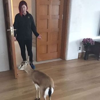 Emel Müftüoğlu'nun paylaşımına takipçilerinden tepki yağdı