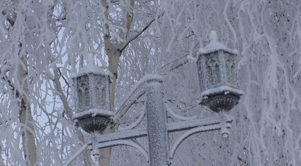 Kars eksi 16’yı gördü! Araçlar dondu, ağaçlar kırağı tuttu