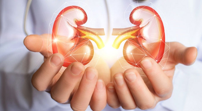 EGFR nedir? | EGFR Değeri Kaç Olmalıdır? | EGFR'de normal değerler nasıl olmalı