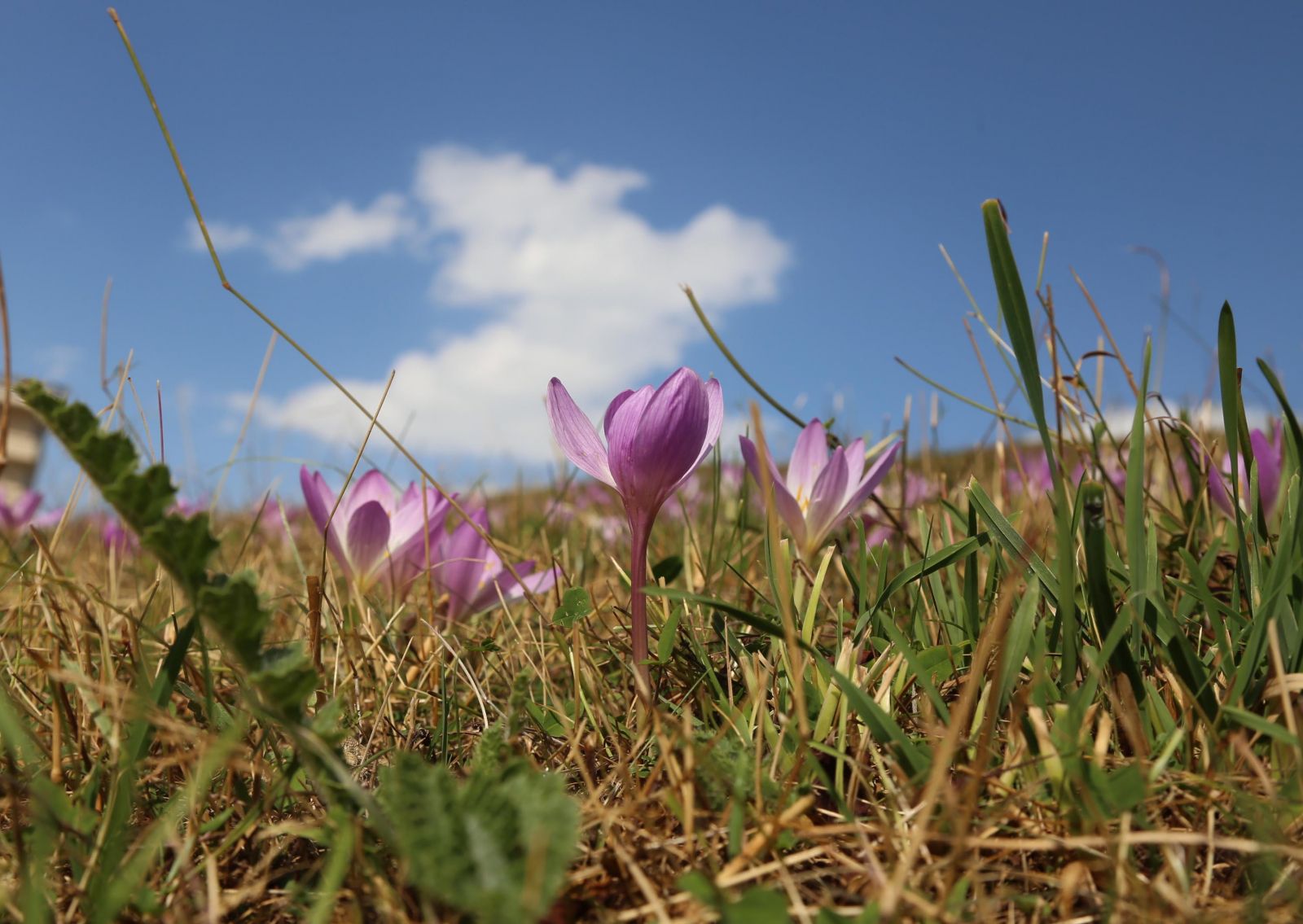 Alıcısı bir yıl önceden sıraya giriyor