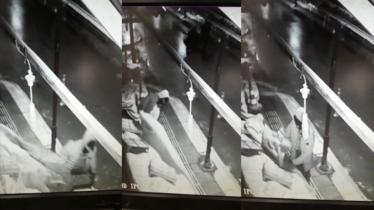 Kasa kasa kayboluyordu! Esrarengiz olay çözüldü