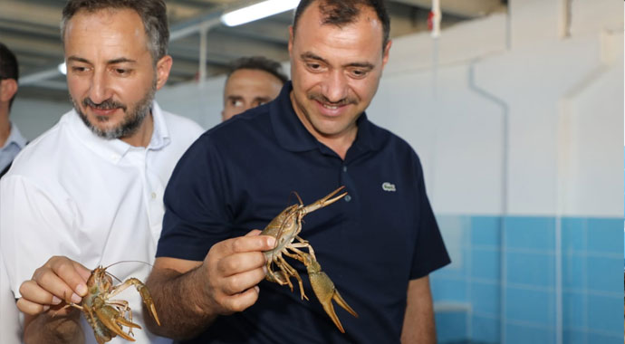 Elazığ'dan dünya pazarına satılıyor kilosu 100 TL