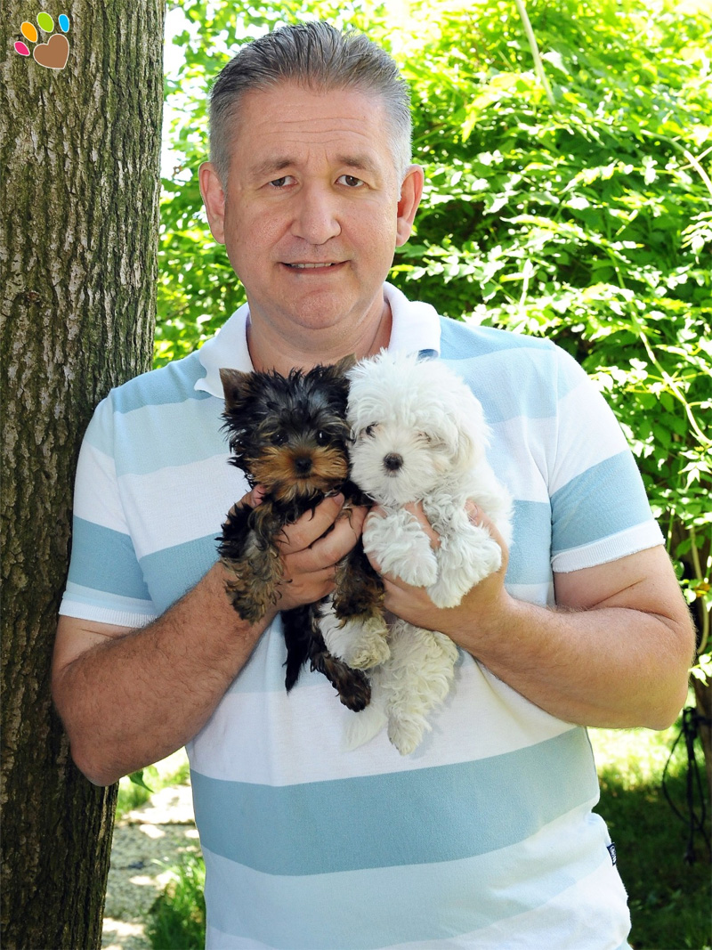 Elit Yavru Kurucusu Can Paksoy: Köpek alırken yaşam şartlarınıza uygun ırk seçmelisiniz Elit Yavru Kurucusu Can Paksoy: Köpek alırken yaşam şartlarınıza uygun ırk seçmelisiniz