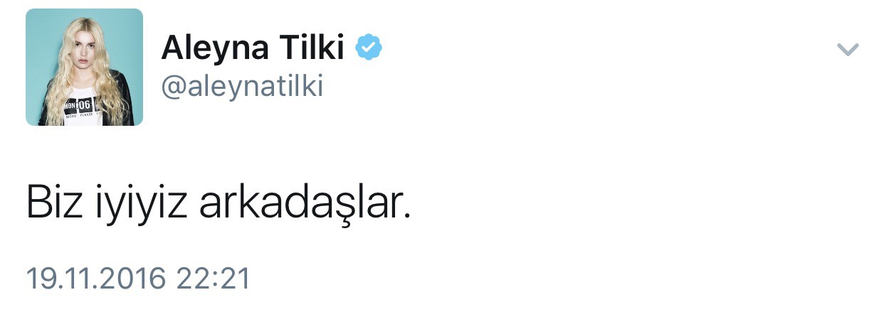 Aleyna Tilki konserindeki bombacılar bakın kim çıktı!