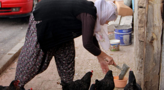 Katıldığı yarışma programıyla fenomen olan Emsal teyze, muhtar adayı oldu Katıldığı yarışma programıyla fenomen olan Emsal teyze, muhtar adayı oldu