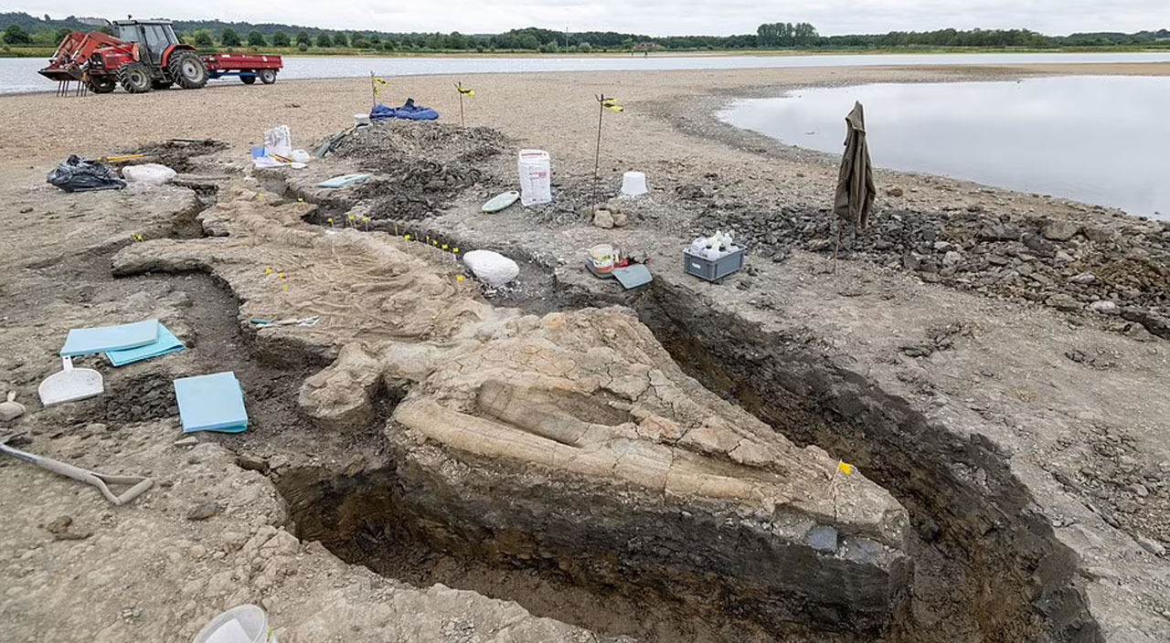 Tam 180 milyon yıllık: Ülke tarihinin en büyük keşiflerinden biri ortaya çıktı