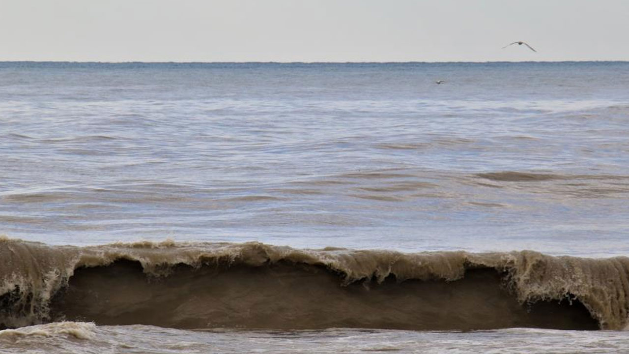 Mersin'de denizin rengi kahverengi oldu