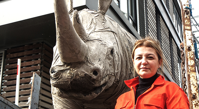 Gergedanlar şehre geri dönüyor