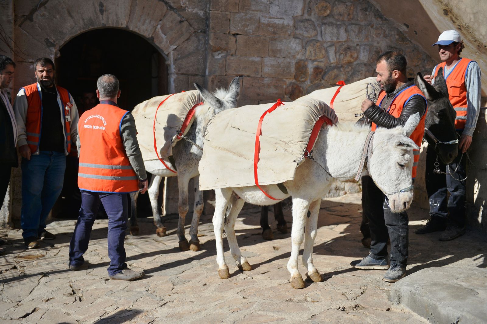 Üç eşeğe Mozartlı emeklilik töreni ​