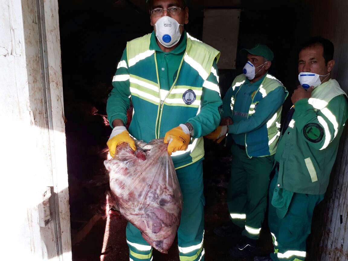 Gaziantep'te 3.5 ton at ve eşek eti ele geçirildi!