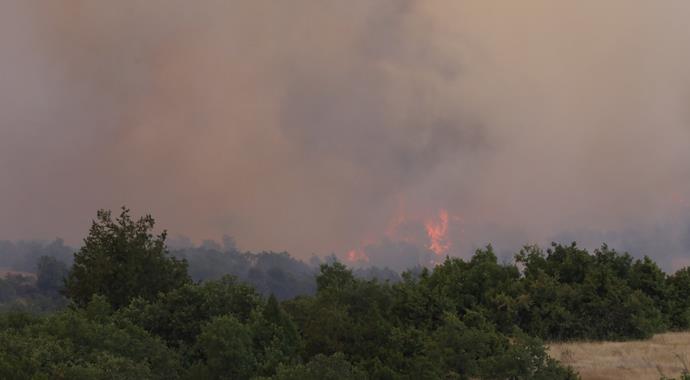 Eskişehir'de korkunç orman yangını