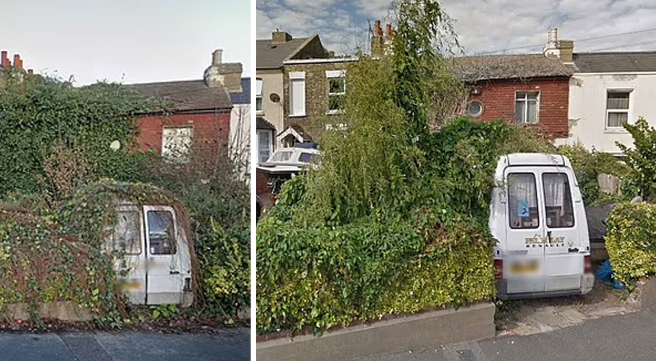 Ev ve arabası bitkilerin içinden ancak 2 günlük çalışmayla kurtarıldı