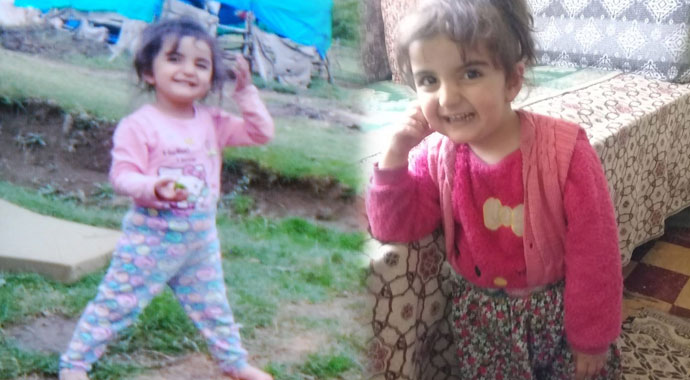 Evrim, 1 yıldır kayıp: Arama çalışmaları sürüyor