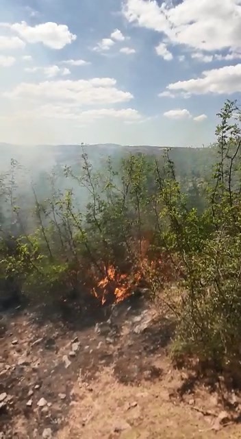Çanakkale Ezine'de orman yangını çıktı, havadan ve karadan müdahale ediliyor