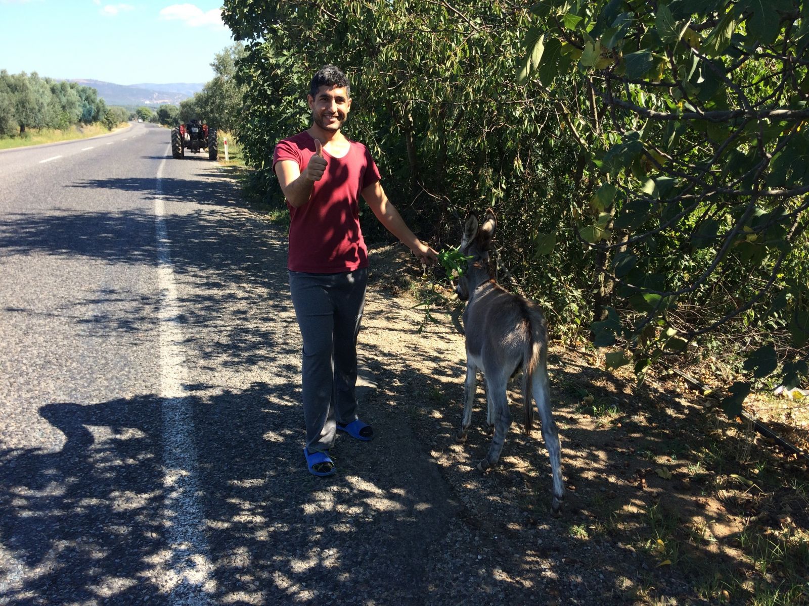 Kayıp eşek alarmı... Köylü seferber oldu